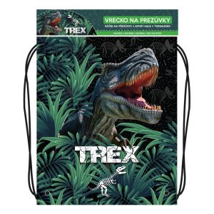 Geanta de pantofi cu imprimeu - Seria 6 - T-Rex